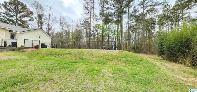 250 MARTIN DRIVE, Oneonta, AL 35121