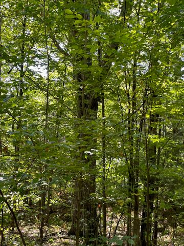 1868 Pond Road, Fletcher, VT 05464