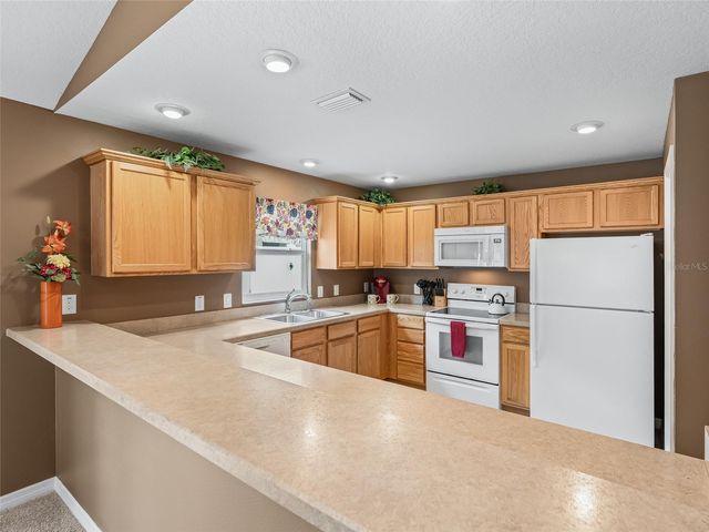 1109 TIPTON LANE, The Villages, FL 32163
