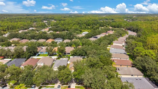 8218 CANARY CANYON WAY, Tampa, FL 33647