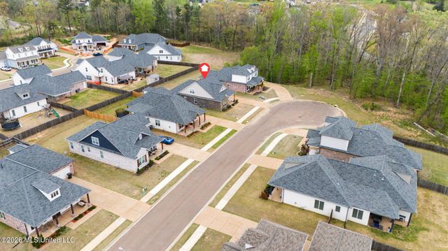 3847 Swan Cove, Hernando, MS 38632