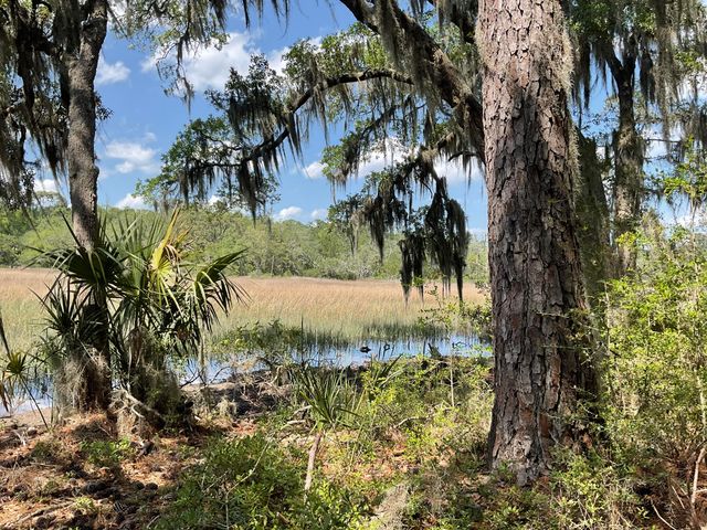 Lot 1 Loafers Glory Lane, Edisto Island, SC 29438