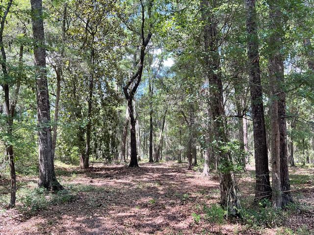 Lot 1 Loafers Glory Lane, Edisto Island, SC 29438