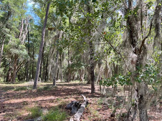 Lot 1 Loafers Glory Lane, Edisto Island, SC 29438