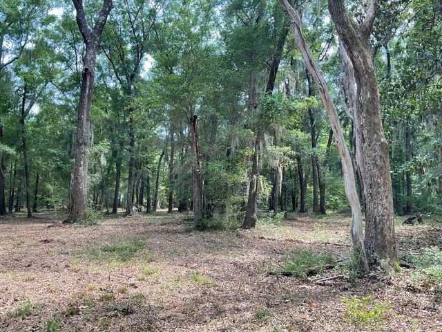 Lot 1 Loafers Glory Lane, Edisto Island, SC 29438
