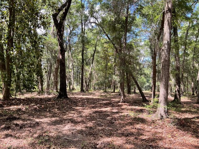 Lot 1 Loafers Glory Lane, Edisto Island, SC 29438