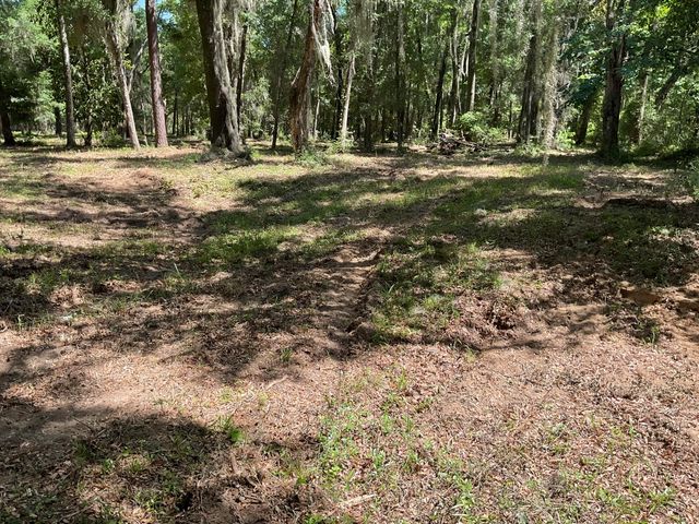 Lot 1 Loafers Glory Lane, Edisto Island, SC 29438