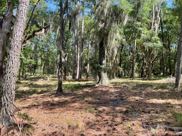 Lot 1 Loafers Glory Lane, Edisto Island, SC 29438