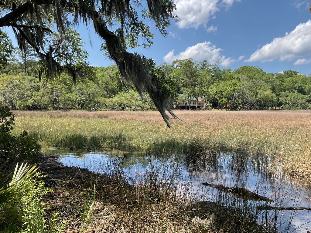 Lot 1 Loafers Glory Lane, Edisto Island, SC 29438
