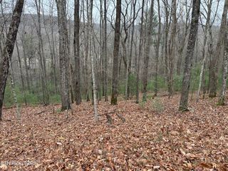 179 Pineridge Loop, Fairfield Glade, TN 38558
