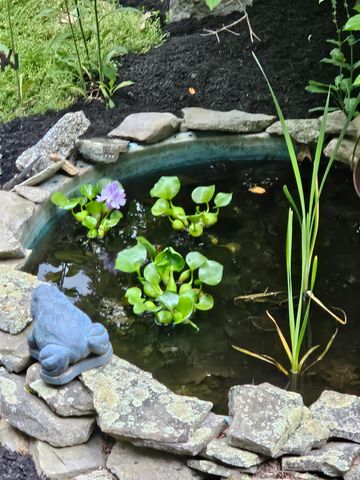 36 Pearson Road, Alton, NH 03809