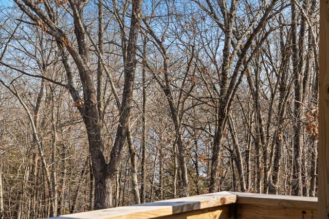 789 Breezy Point Lane, Kimberling City, MO 65686