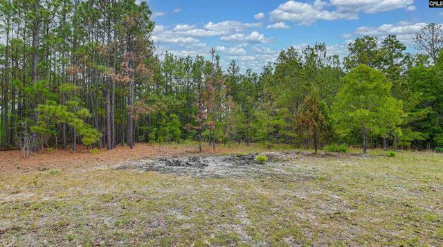 972 Gary Goff Road, Elgin, SC 29045