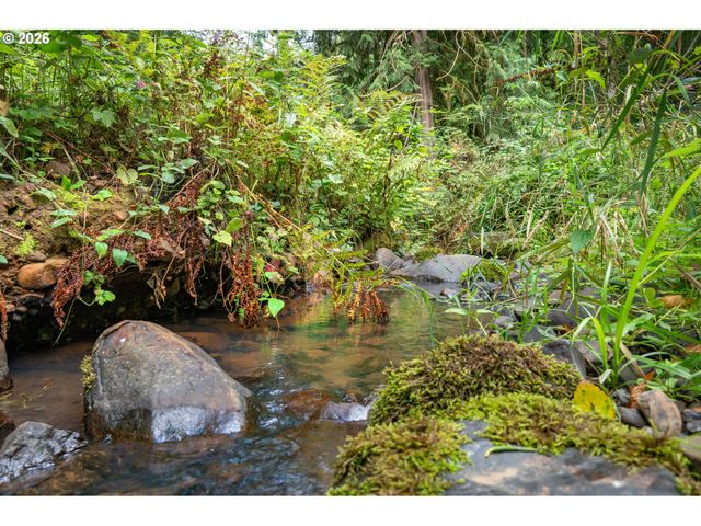 16900 Sw MCFEE Pl, Hillsboro, OR 97123