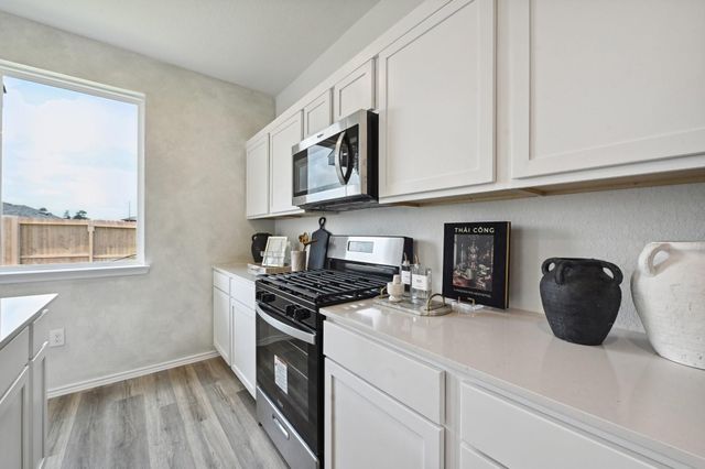 1055 Moon Drop Lane, Houston, TX 77090