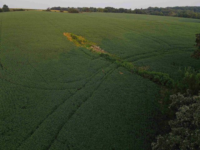 000 Sawmill Road, Blanchardville, WI 53516