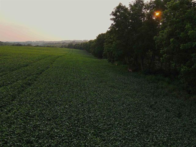 000 Sawmill Road, Blanchardville, WI 53516