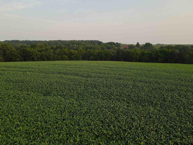 000 Sawmill Road, Blanchardville, WI 53516