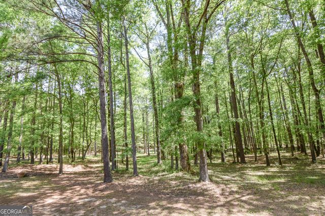 75 Katies Court, Meansville, GA 30256
