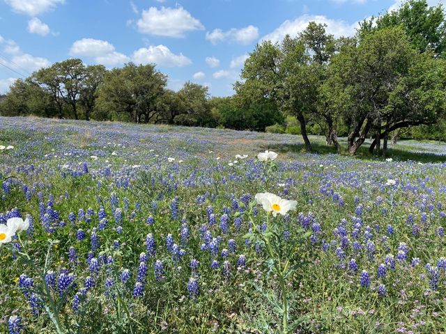 Lot 118 Overlook PKWY, Horseshoe Bay, TX 78657