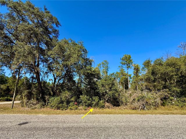 LOT 11 TULIP AVENUE, Eustis, FL 32736