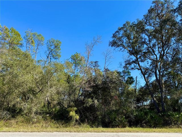 LOT 11 TULIP AVENUE, Eustis, FL 32736