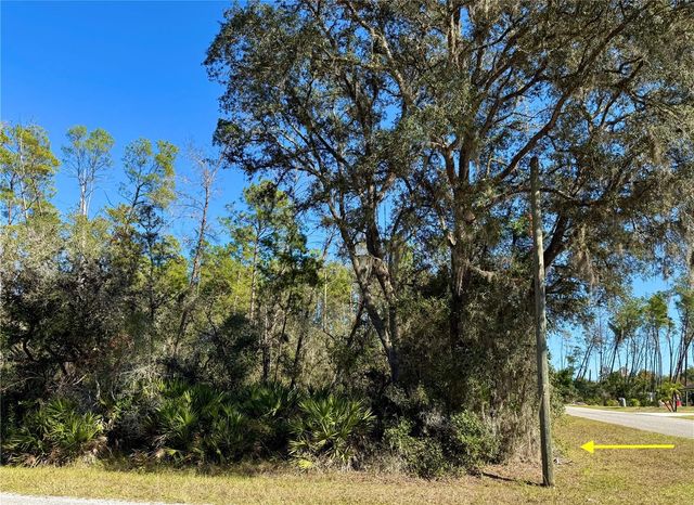LOT 11 TULIP AVENUE, Eustis, FL 32736