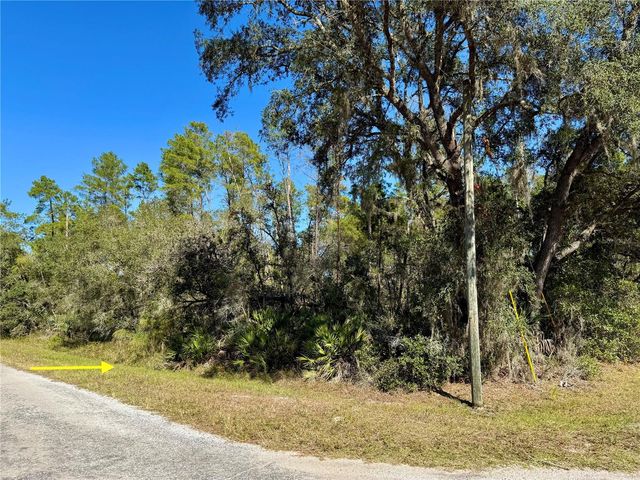 LOT 11 TULIP AVENUE, Eustis, FL 32736