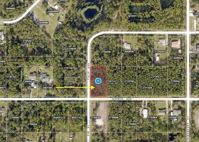 LOT 11 TULIP AVENUE, Eustis, FL 32736