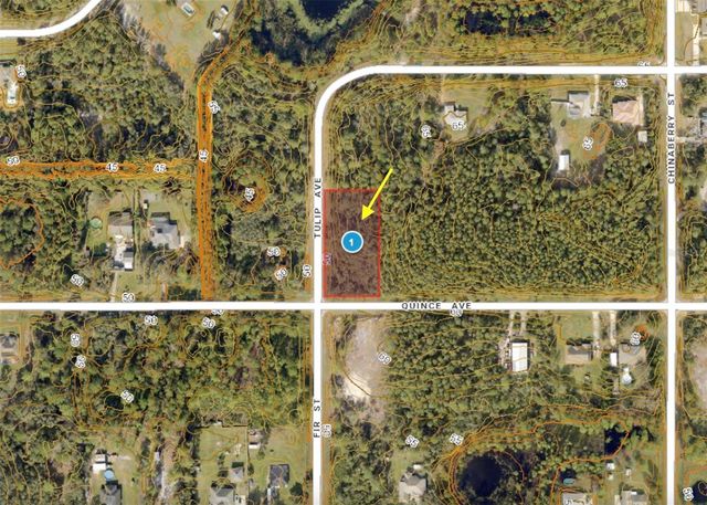 LOT 11 TULIP AVENUE, Eustis, FL 32736