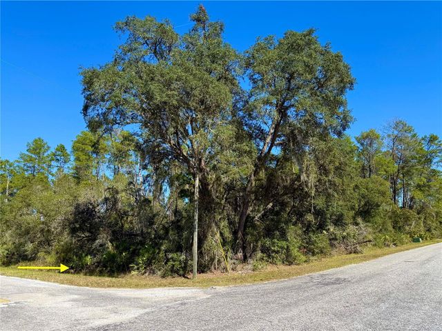LOT 11 TULIP AVENUE, Eustis, FL 32736