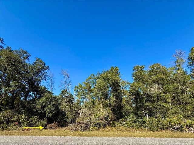 LOT 11 TULIP AVENUE, Eustis, FL 32736