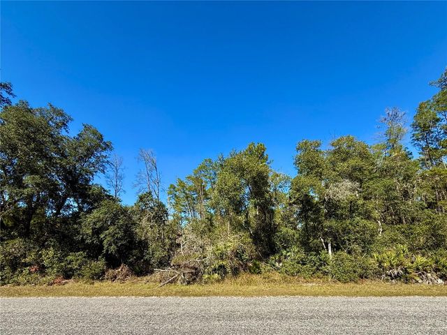LOT 11 TULIP AVENUE, Eustis, FL 32736