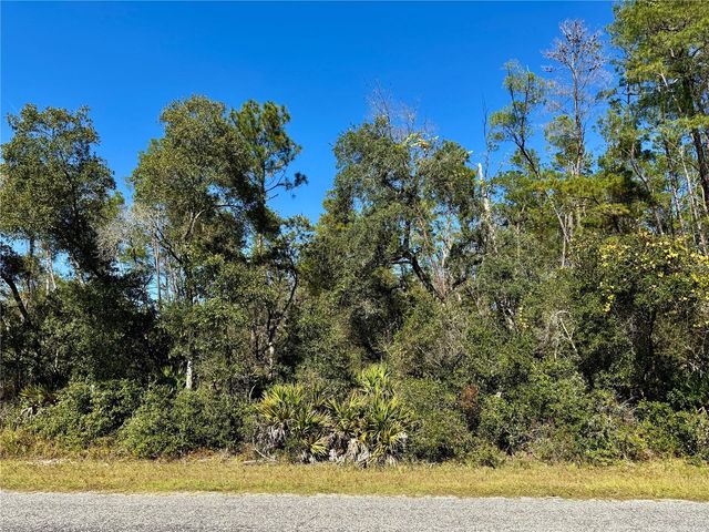 LOT 11 TULIP AVENUE, Eustis, FL 32736