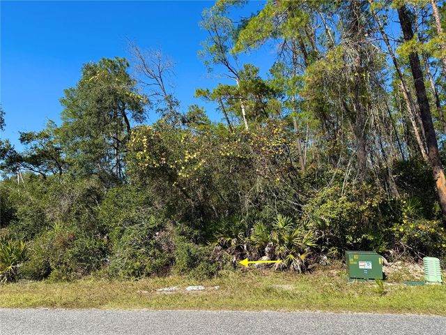 LOT 11 TULIP AVENUE, Eustis, FL 32736