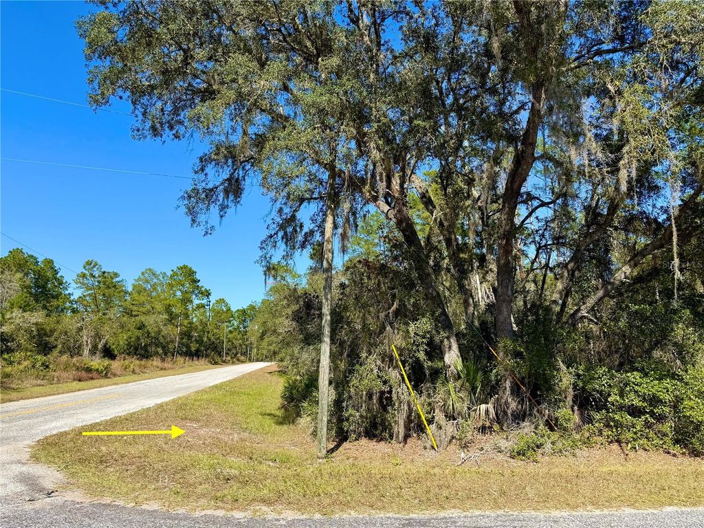 LOT 11 TULIP AVENUE, Eustis, FL 32736