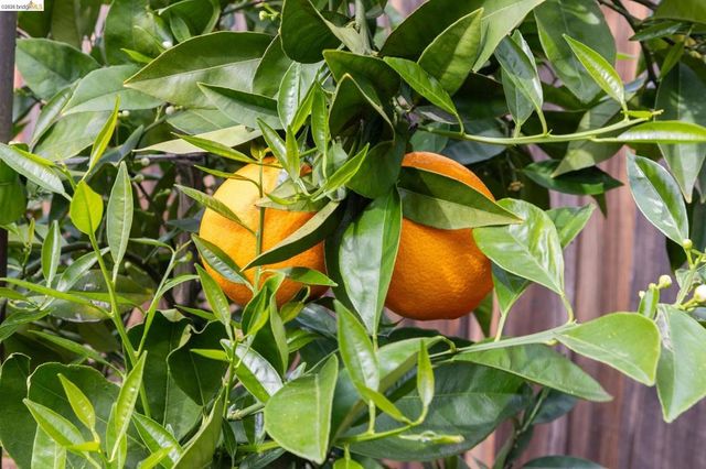 3994 Newcastle Rd, Concord, CA 94519