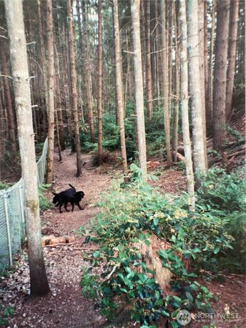 4802 Delores Drive NE, Olympia, WA 98516