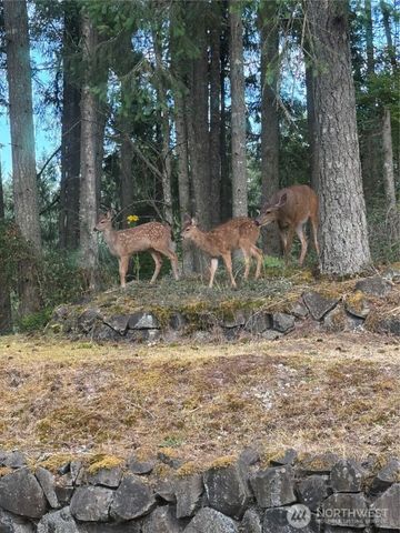 4802 Delores Drive NE, Olympia, WA 98516