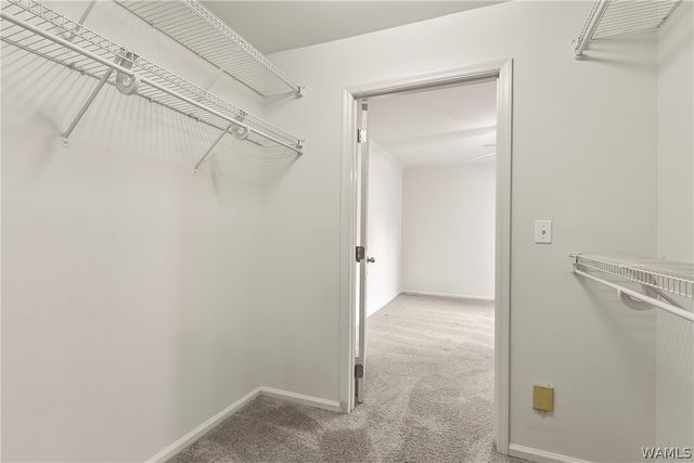 120 15th E 511, Tuscaloosa, AL 35401