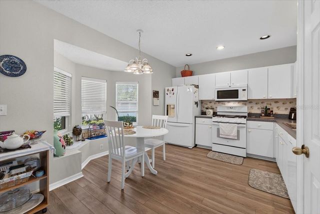 6615 SUMMER COVE DRIVE, Riverview, FL 33578