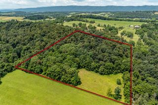 TBD WILLIAMSBURG RD, Linville, VA 22834