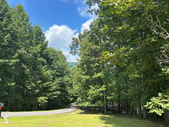 Lt 19 Bitter Creek Road, Blairsville, GA 30512