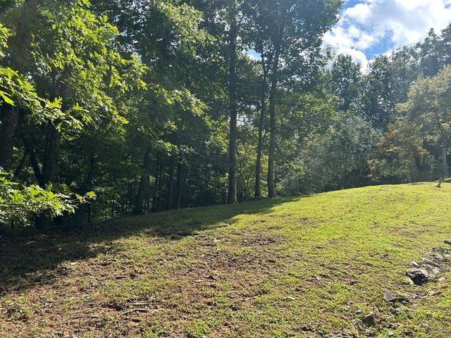 Lt 19 Bitter Creek Road, Blairsville, GA 30512