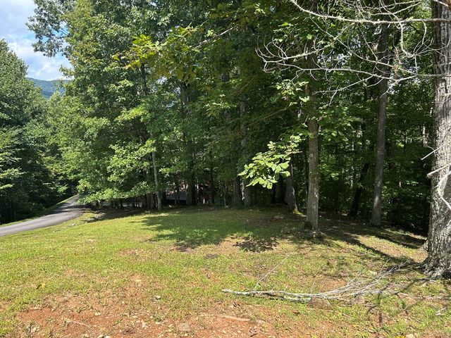 Lt 19 Bitter Creek Road, Blairsville, GA 30512