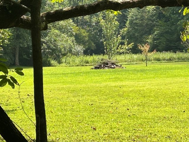 Lt 19 Bitter Creek Road, Blairsville, GA 30512