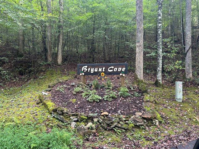 Lt 19 Bitter Creek Road, Blairsville, GA 30512