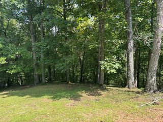 Lt 19 Bitter Creek Road, Blairsville, GA 30512