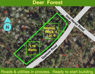 127 Gypsum Road, New Waverly, TX 77358