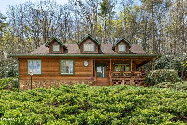 1297 Harbin Hill Road, Mountain City, TN 37683